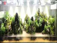 柳州筑千商贸有限公司