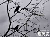 柳州筑千商贸有限公司