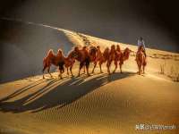 柳州筑千商贸有限公司