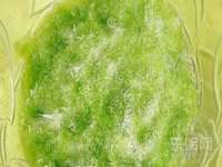 柳州筑千商贸有限公司