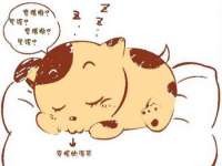 柳州筑千商贸有限公司