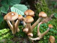 柳州筑千商贸有限公司