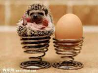 柳州筑千商贸有限公司