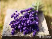 柳州筑千商贸有限公司