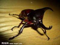 柳州筑千商贸有限公司