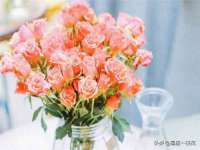 柳州筑千商贸有限公司