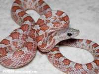 柳州筑千商贸有限公司