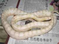 柳州筑千商贸有限公司