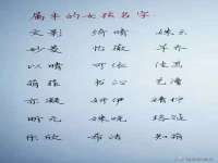 柳州筑千商贸有限公司